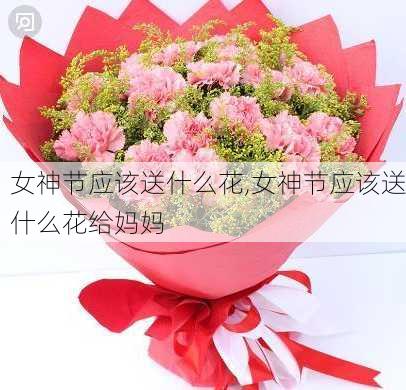 女神节应该送什么花,女神节应该送什么花给妈妈