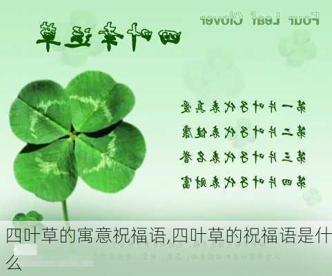 四叶草的寓意祝福语,四叶草的祝福语是什么