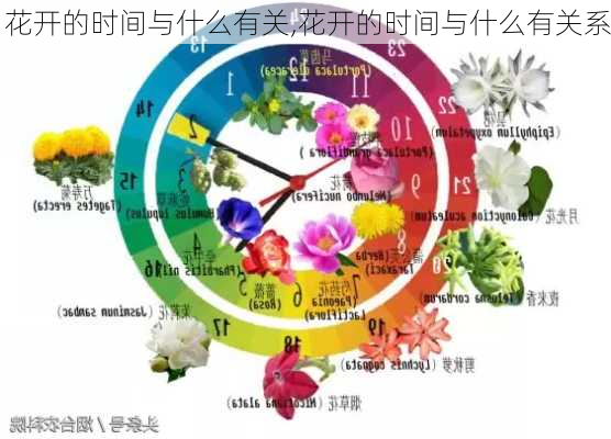 花开的时间与什么有关,花开的时间与什么有关系