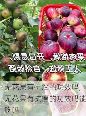 无花果有抗癌的功效吗,无花果有抗癌的功效吗能吃吗