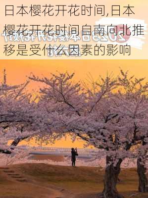 日本樱花开花时间,日本樱花开花时间自南向北推移是受什么因素的影响