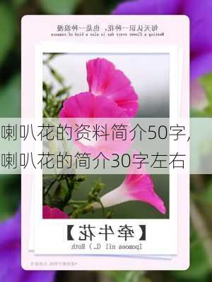 喇叭花的资料简介50字,喇叭花的简介30字左右