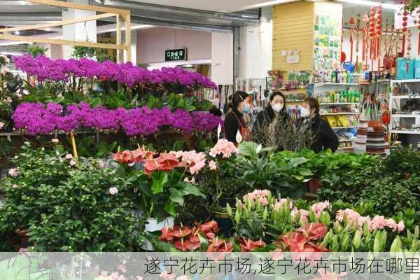 遂宁花卉市场,遂宁花卉市场在哪里