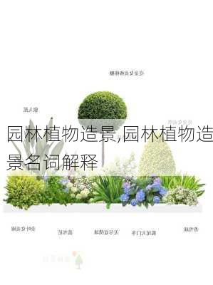 园林植物造景,园林植物造景名词解释