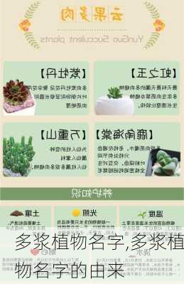 多浆植物名字,多浆植物名字的由来