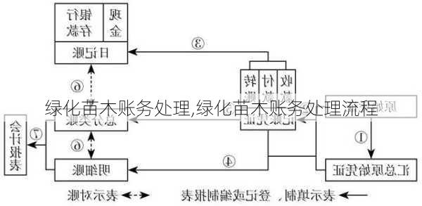 绿化苗木账务处理,绿化苗木账务处理流程