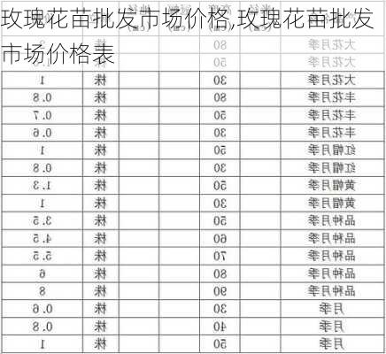 玫瑰花苗批发市场价格,玫瑰花苗批发市场价格表