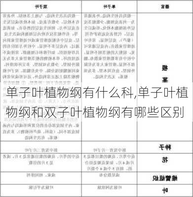 单子叶植物纲有什么科,单子叶植物纲和双子叶植物纲有哪些区别