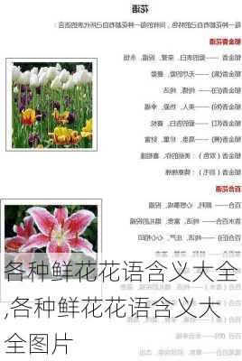 各种鲜花花语含义大全,各种鲜花花语含义大全图片