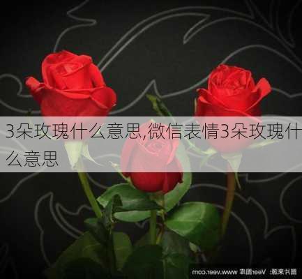 3朵玫瑰什么意思,微信表情3朵玫瑰什么意思