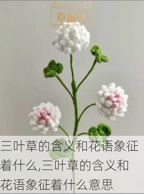 三叶草的含义和花语象征着什么,三叶草的含义和花语象征着什么意思