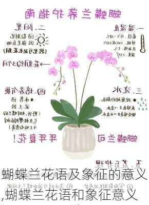 蝴蝶兰花语及象征的意义,蝴蝶兰花语和象征意义