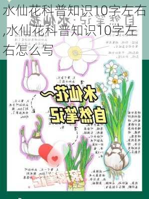 水仙花科普知识10字左右,水仙花科普知识10字左右怎么写