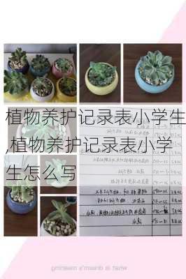 植物养护记录表小学生,植物养护记录表小学生怎么写