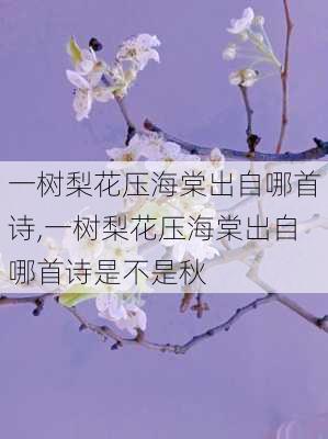 一树梨花压海棠出自哪首诗,一树梨花压海棠出自哪首诗是不是秋