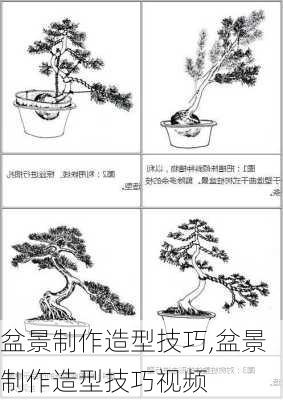 盆景制作造型技巧,盆景制作造型技巧视频