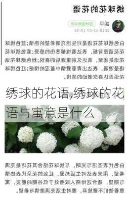 绣球的花语,绣球的花语与寓意是什么