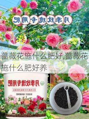 蔷薇花施什么肥好,蔷薇花施什么肥好养