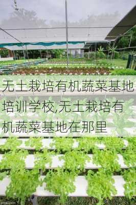 无土栽培有机蔬菜基地培训学校,无土栽培有机蔬菜基地在那里