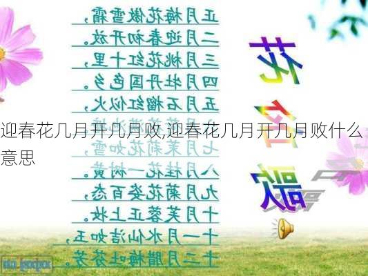 迎春花几月开几月败,迎春花几月开几月败什么意思