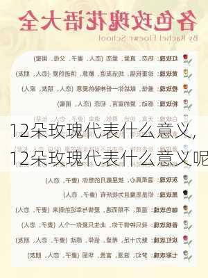 12朵玫瑰代表什么意义,12朵玫瑰代表什么意义呢