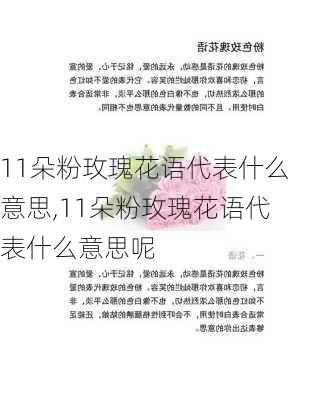 11朵粉玫瑰花语代表什么意思,11朵粉玫瑰花语代表什么意思呢