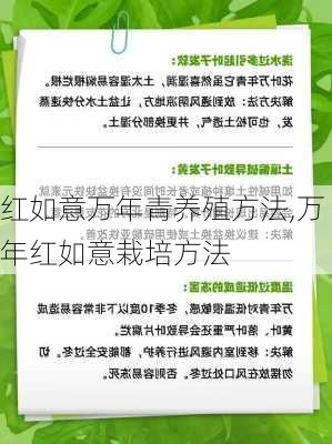 红如意万年青养殖方法,万年红如意栽培方法