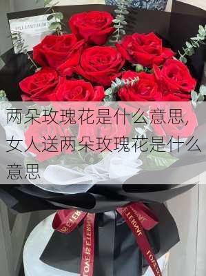 两朵玫瑰花是什么意思,女人送两朵玫瑰花是什么意思