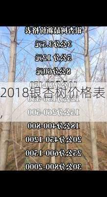 2018银杏树价格表,