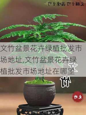 文竹盆景花卉绿植批发市场地址,文竹盆景花卉绿植批发市场地址在哪里