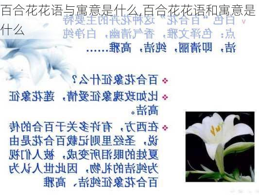 百合花花语与寓意是什么,百合花花语和寓意是什么