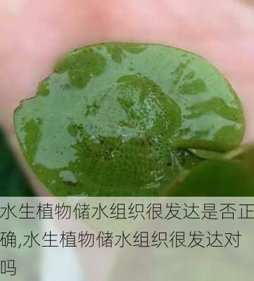 水生植物储水组织很发达是否正确,水生植物储水组织很发达对吗