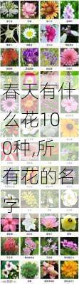 春天有什么花100种,所有花的名字