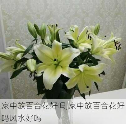 家中放百合花好吗,家中放百合花好吗风水好吗