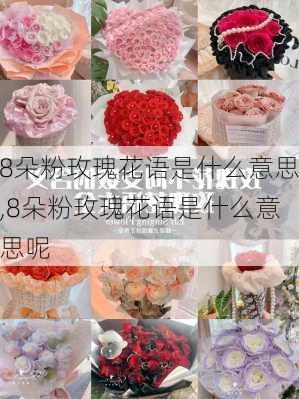 8朵粉玫瑰花语是什么意思,8朵粉玫瑰花语是什么意思呢