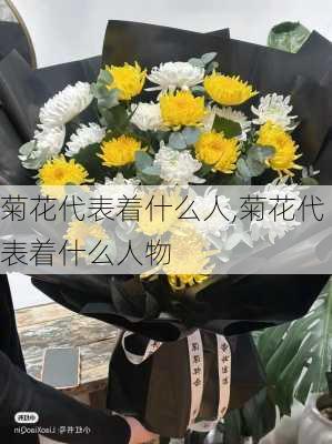 菊花代表着什么人,菊花代表着什么人物