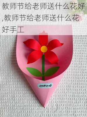 教师节给老师送什么花好,教师节给老师送什么花好手工