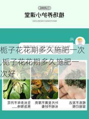 栀子花花期多久施肥一次,栀子花花期多久施肥一次好