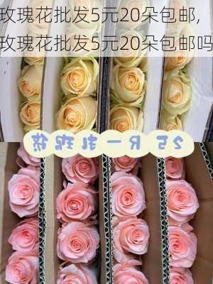 玫瑰花批发5元20朵包邮,玫瑰花批发5元20朵包邮吗