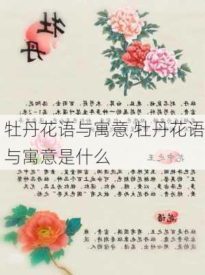 牡丹花语与寓意,牡丹花语与寓意是什么