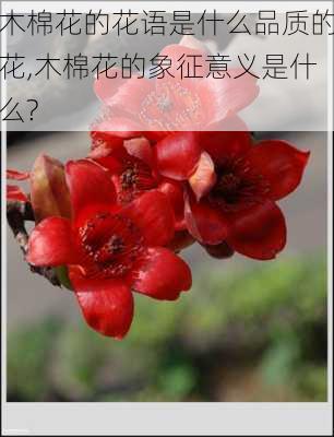 木棉花的花语是什么品质的花,木棉花的象征意义是什么?