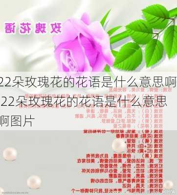 22朵玫瑰花的花语是什么意思啊,22朵玫瑰花的花语是什么意思啊图片