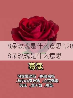 8朵玫瑰是什么意思?,288朵玫瑰是什么意思