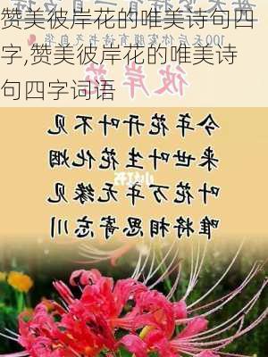 赞美彼岸花的唯美诗句四字,赞美彼岸花的唯美诗句四字词语