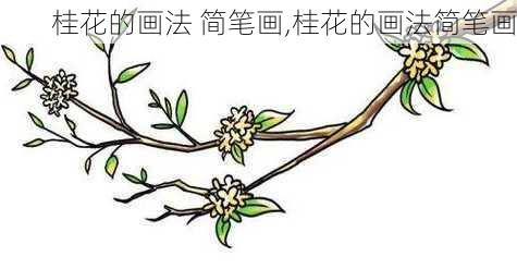 桂花的画法 简笔画,桂花的画法简笔画