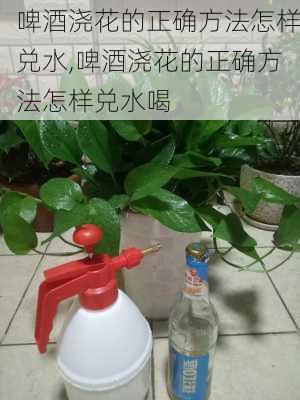 啤酒浇花的正确方法怎样兑水,啤酒浇花的正确方法怎样兑水喝