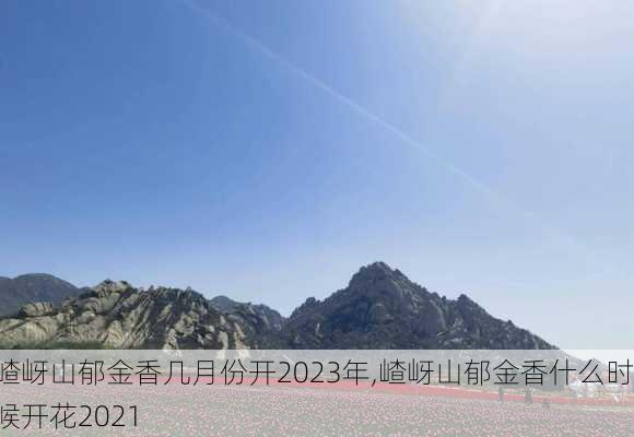 嵖岈山郁金香几月份开2023年,嵖岈山郁金香什么时候开花2021