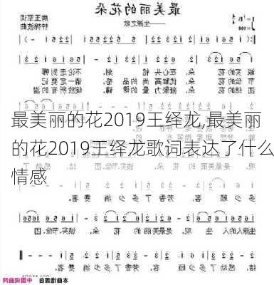 最美丽的花2019王绎龙,最美丽的花2019王绎龙歌词表达了什么情感