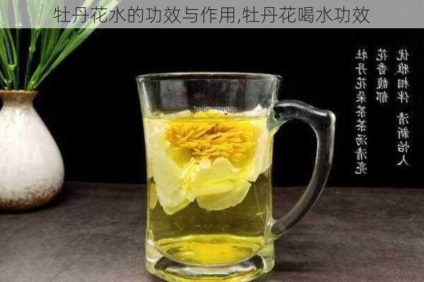 牡丹花水的功效与作用,牡丹花喝水功效