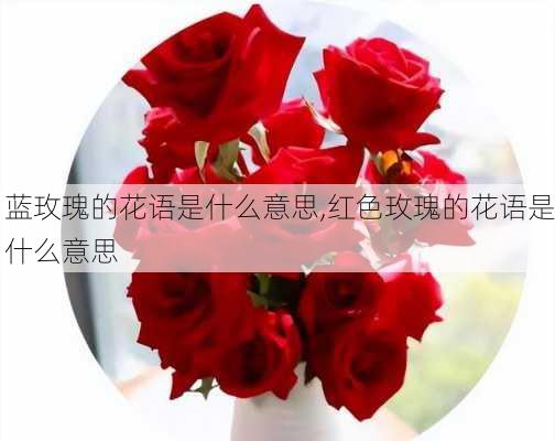 蓝玫瑰的花语是什么意思,红色玫瑰的花语是什么意思